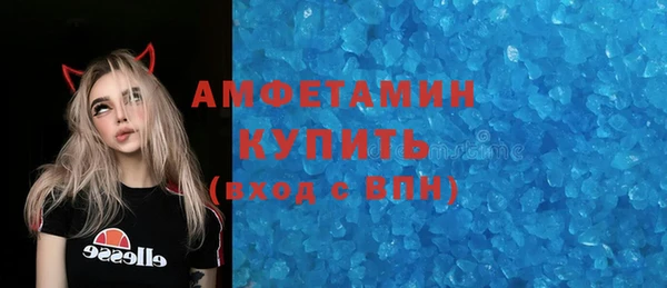прущие грибы Осташков