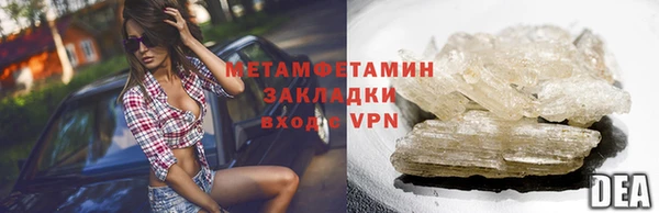 прущие грибы Осташков