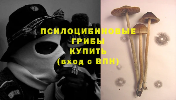 соль курить ск Няндома