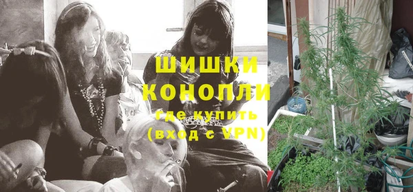 ПСИЛОЦИБИНОВЫЕ ГРИБЫ Нязепетровск