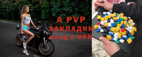 шишки Вуктыл