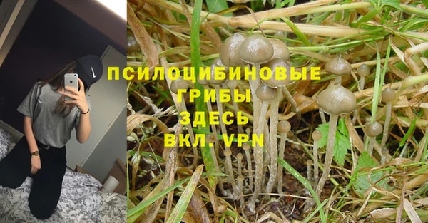 соль курить ск Няндома