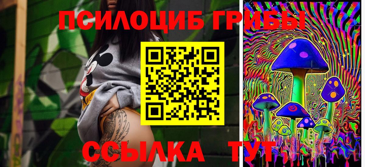 Тара  Псилоцибиновые грибы GOLDEN TEACHER  Вход с VPN 