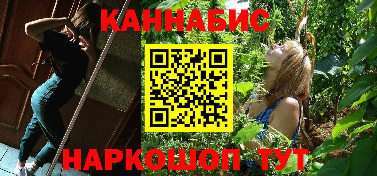Тара  Бошки марихуана SATIVA & INDICA  Бошки марихуана SATIVA & INDICA  Каннабис OG Kush  Вход с VPN 